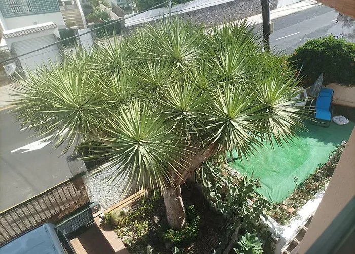 Casa Quico Санта-Крус-де-Тенерифе