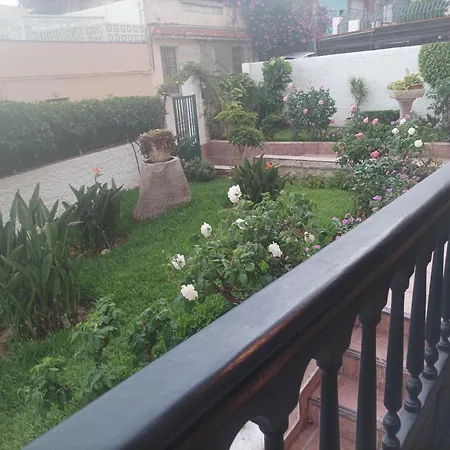 ゲストハウス Casa Quico サンタクルスデテネリフェ