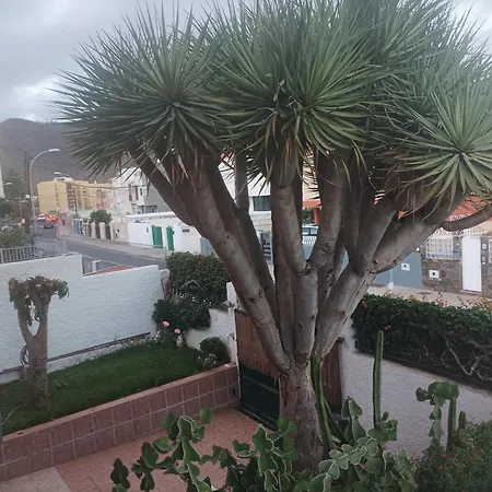 Casa Quico サンタクルスデテネリフェ