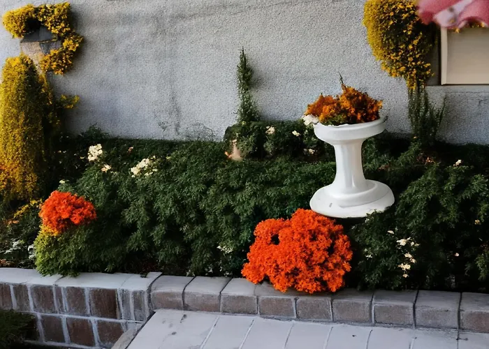 Casa Quico 圣克鲁斯-德特内里费