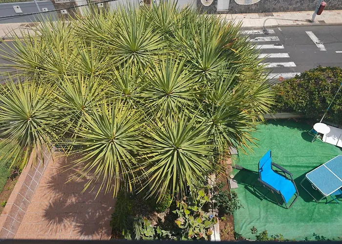 Casa Quico 招待所