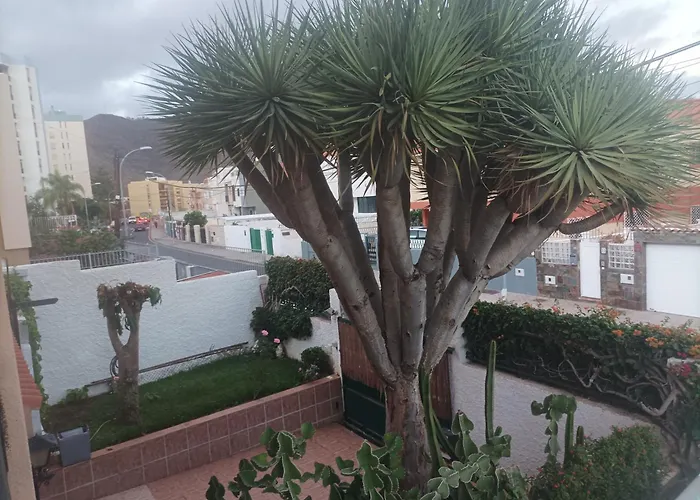 Casa Quico Santa Cruz de Tenerife